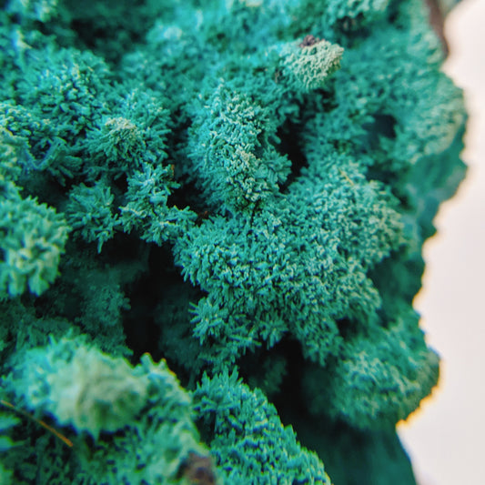 [CY05] Chrysocolla 剛果矽孔雀石
