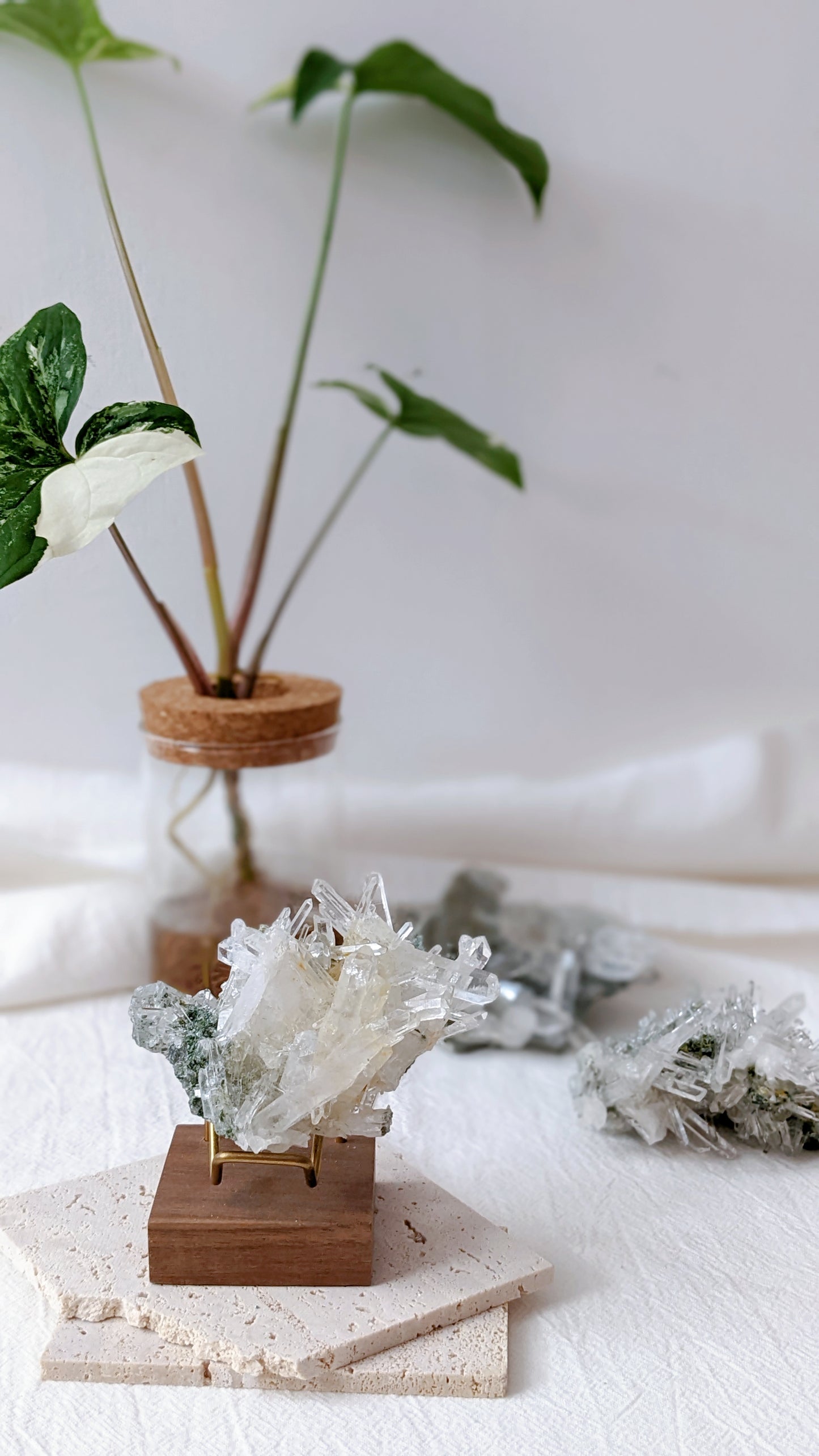 [LE03] Rare Water Clear Green Lemurian Cluster Premium Grade