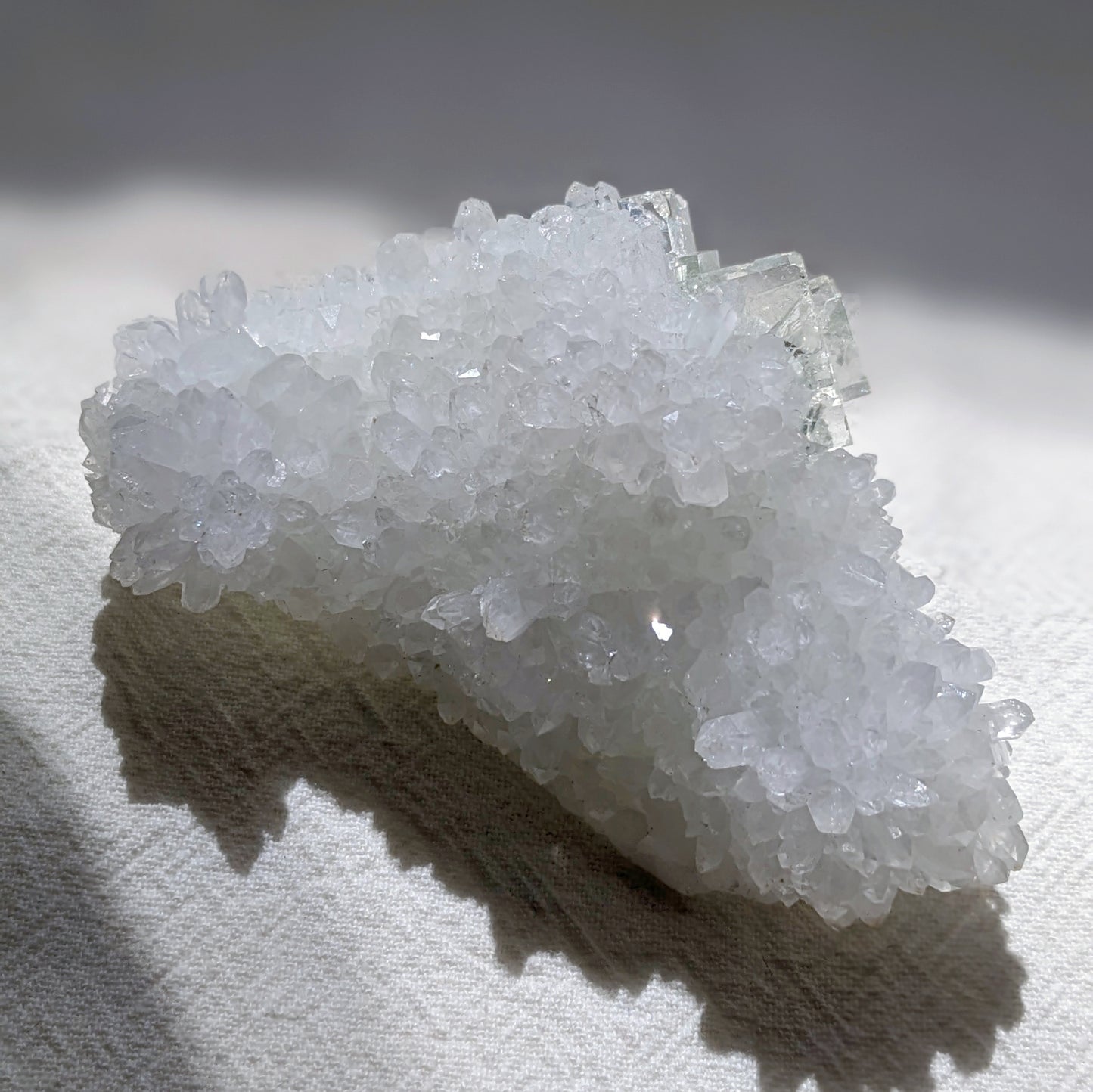 [FL09] Green Glass Fluorite with Quartz 香花嶺玻璃體綠螢石