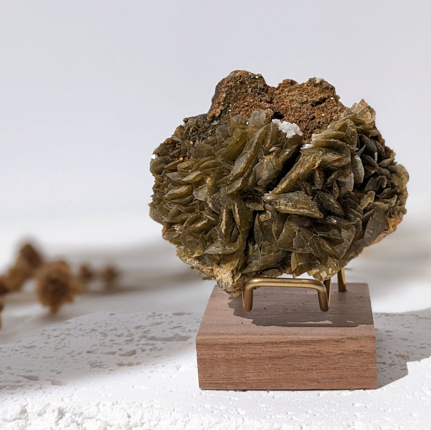 [SI04] Siderite Dolomite Pyrite Specimen 菱鐵礦白雲石硫鐵礦