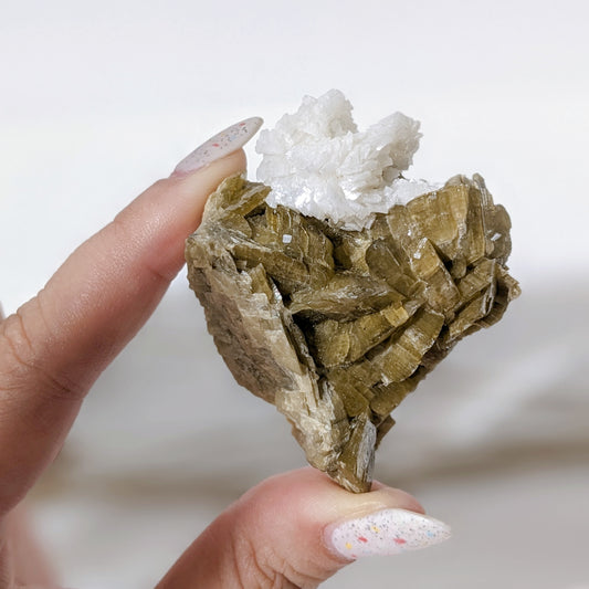[SI06] Siderite Dolomite Specimen 菱鐵礦白雲石