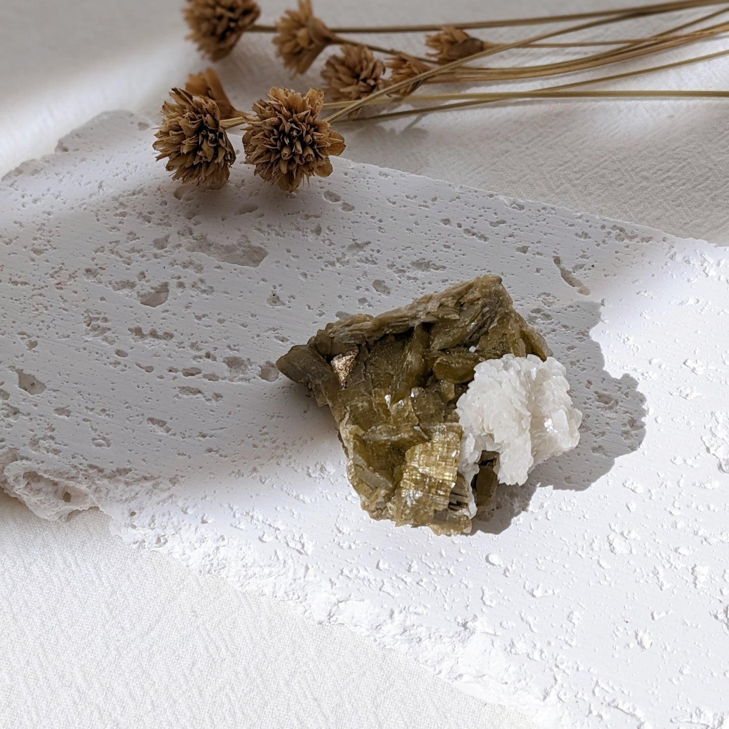[SI06] Siderite Dolomite Specimen 菱鐵礦白雲石