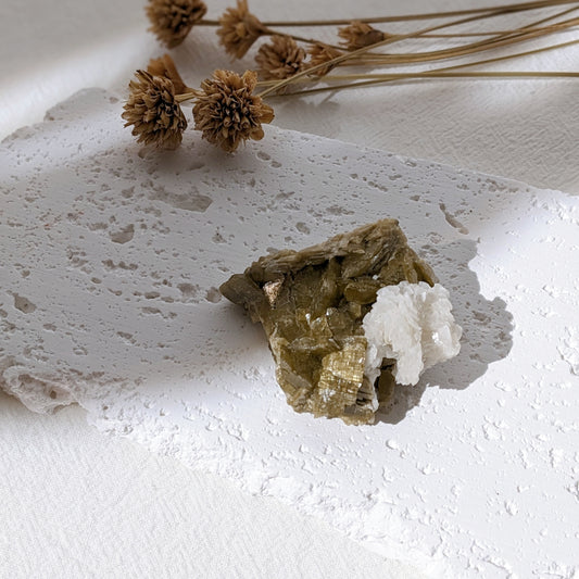 [SI06] Siderite Dolomite Specimen 菱鐵礦白雲石