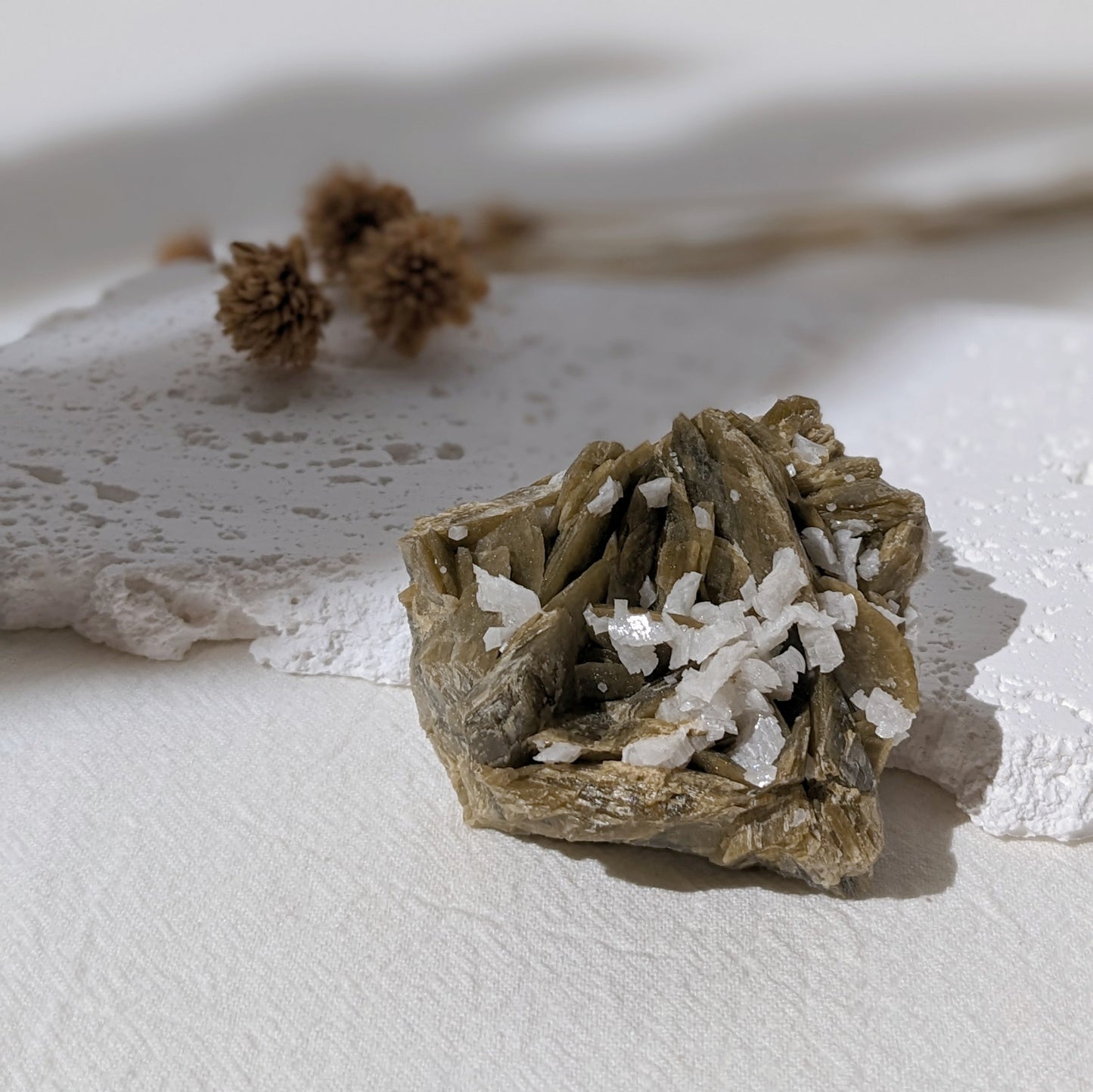 [SI08] Siderite Dolomite Specimen 菱鐵礦白雲石