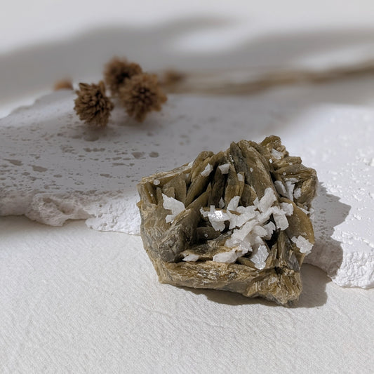 [SI08] Siderite Dolomite Specimen 菱鐵礦白雲石