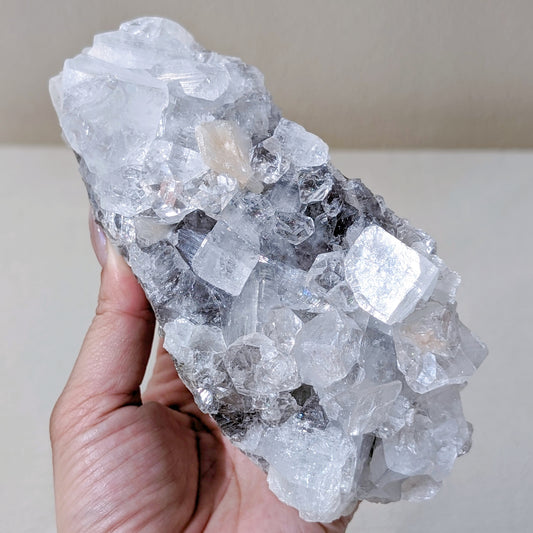 [AP08] Apophyllite with Chalcedony 灰鑽石魚眼瑪瑙共生