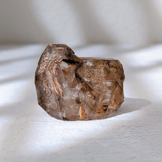 [SK13] "Fingerprint" Smoky Elestial Quartz, Africa