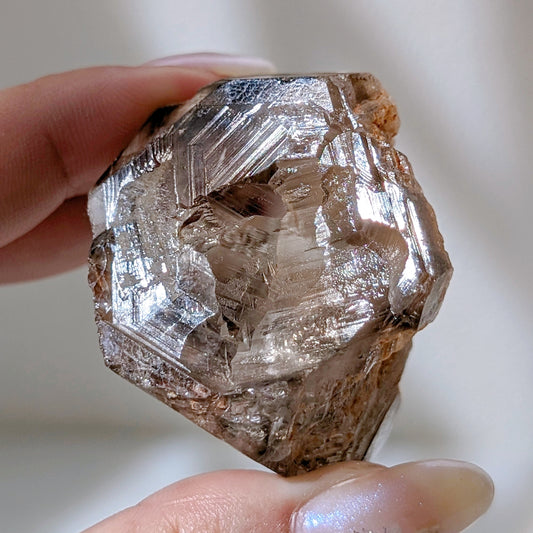 [SK13] "Fingerprint" Smoky Elestial Quartz, Africa