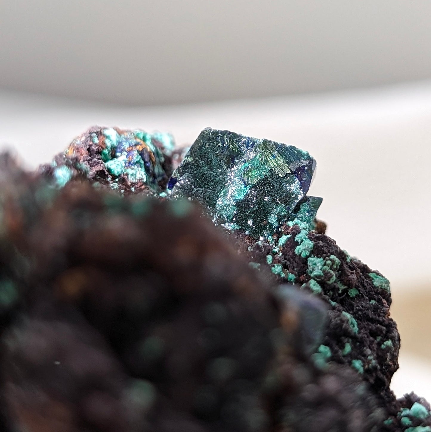 [AZ11] Azurite Malachite on Cuprite 藍銅礦孔雀礦赤銅共生