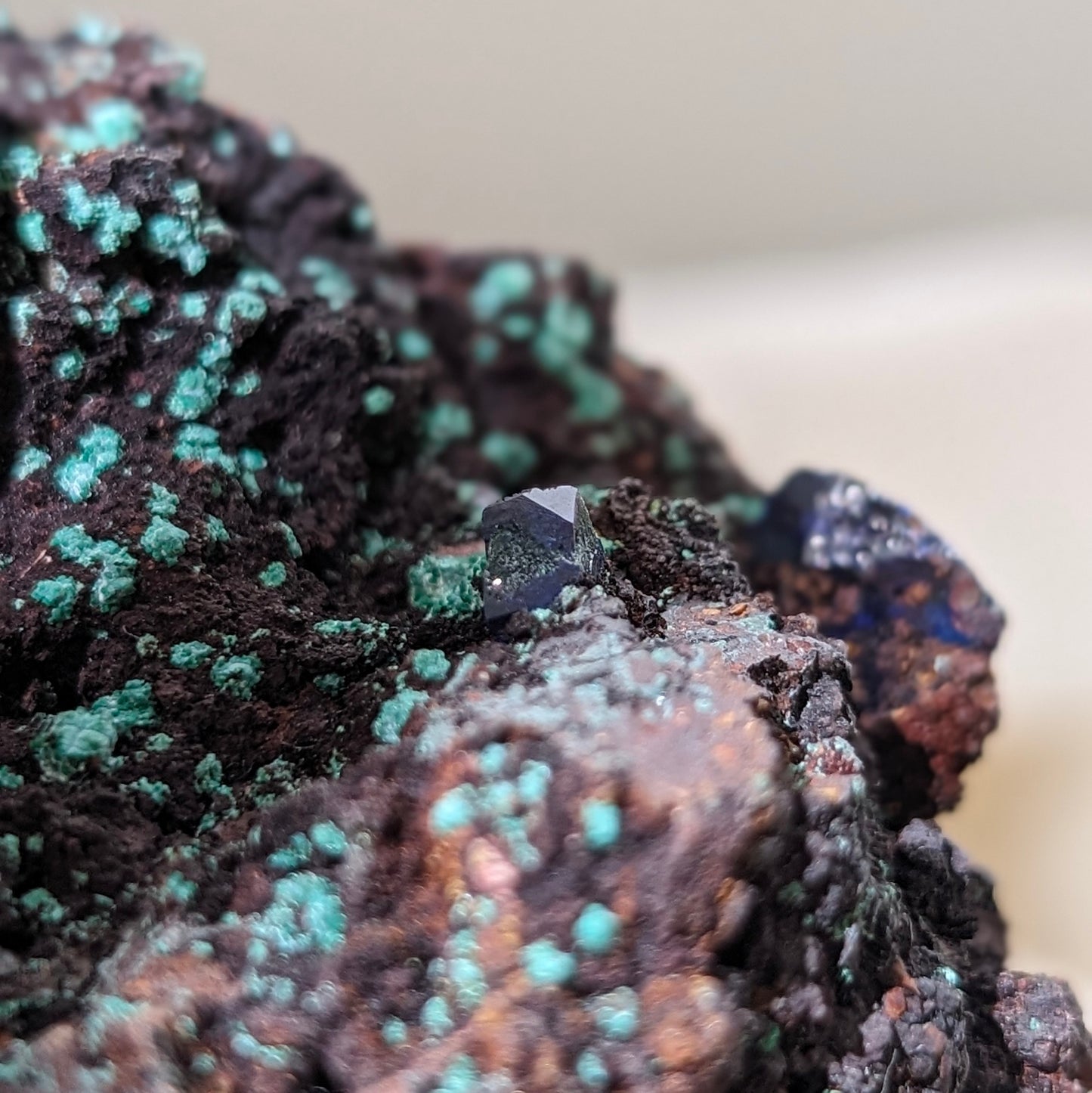 [AZ11] Azurite Malachite on Cuprite 藍銅礦孔雀礦赤銅共生