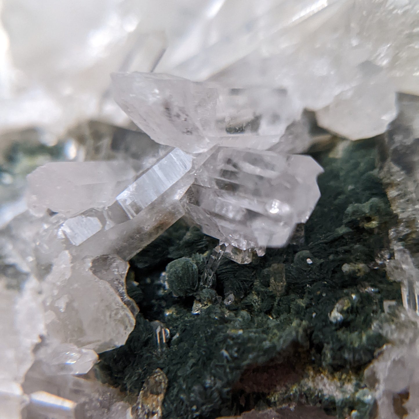 [LE02] Rare Water Clear Green Lemurian Cluster Premium Grade