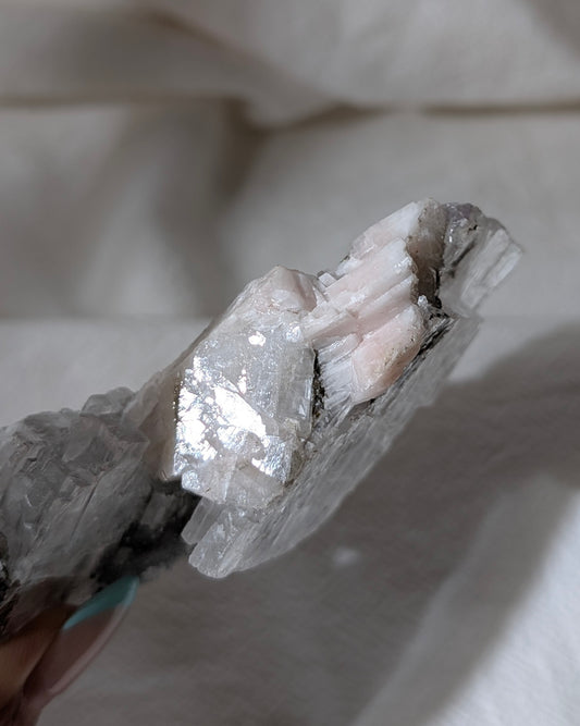 [SE11] Selenite with pink calcite 透石膏粉方解石共生