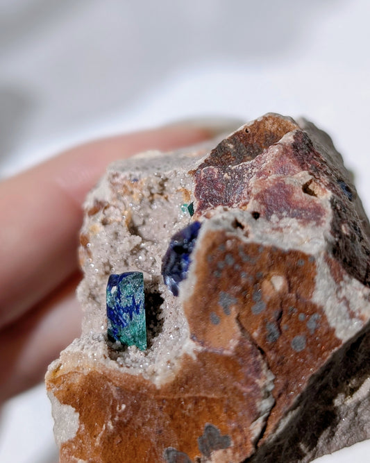 [AZ30] Azurite on matrix, Morocco 摩洛哥藍銅礦