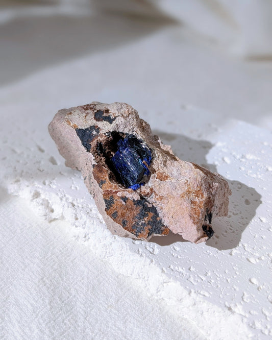 [AZ31] Azurite on matrix, Morocco 摩洛哥藍銅礦