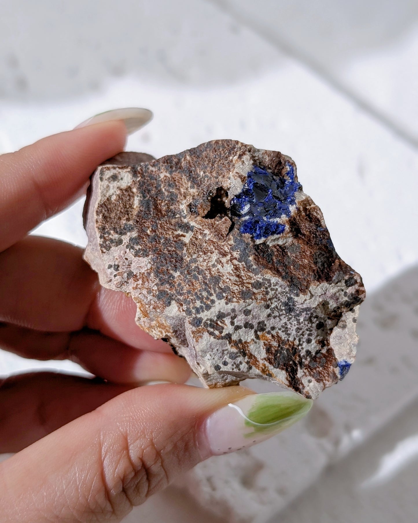 [AZ32] Azurite on matrix, Morocco 摩洛哥藍銅礦