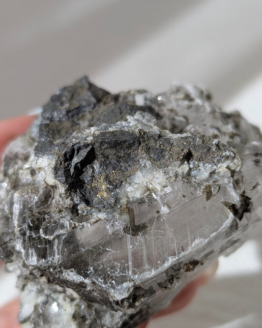 [SE10] Selenite with Galena Chalcopyrite 透石膏共生礦