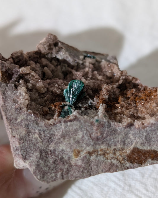 [MA16] Druzy Feather Malachite from Morocco 摩洛哥孔雀礦