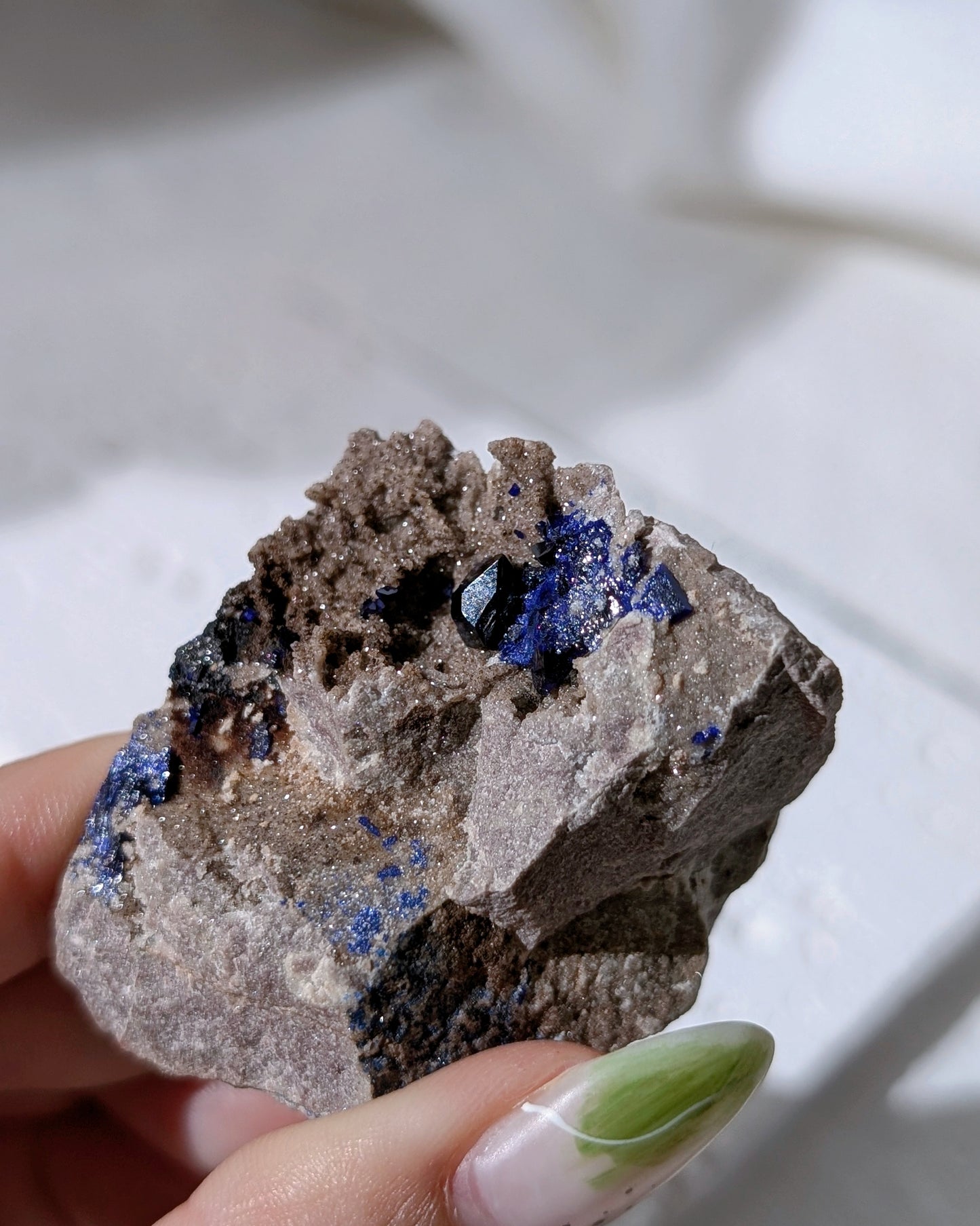 [AZ33] Azurite on matrix, Morocco 摩洛哥藍銅礦