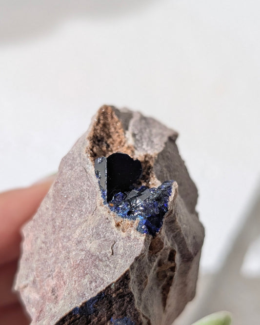 [AZ34] Azurite on matrix, Morocco 摩洛哥藍銅礦