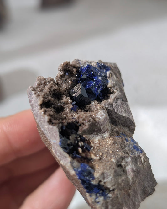 [AZ33] Azurite on matrix, Morocco 摩洛哥藍銅礦