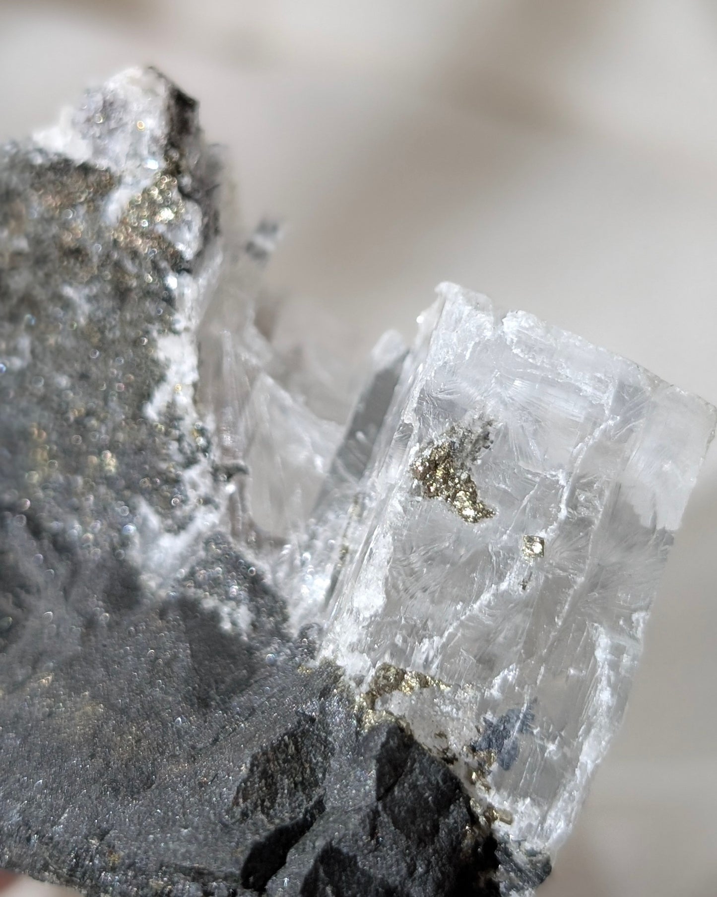 [SE12] Selenite white Lodolite on Galena Chalcopyrite 螢光透石膏