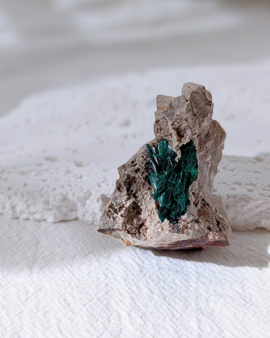 [MA14] Druzy Feather Malachite from Morocco 摩洛哥孔雀礦