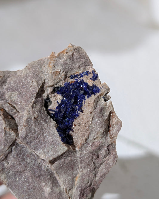 [AZ35] Azurite on matrix, Morocco 摩洛哥藍銅礦