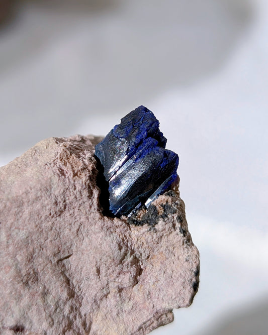 [AZ28] Azurite on matrix, Morocco 摩洛哥藍銅礦