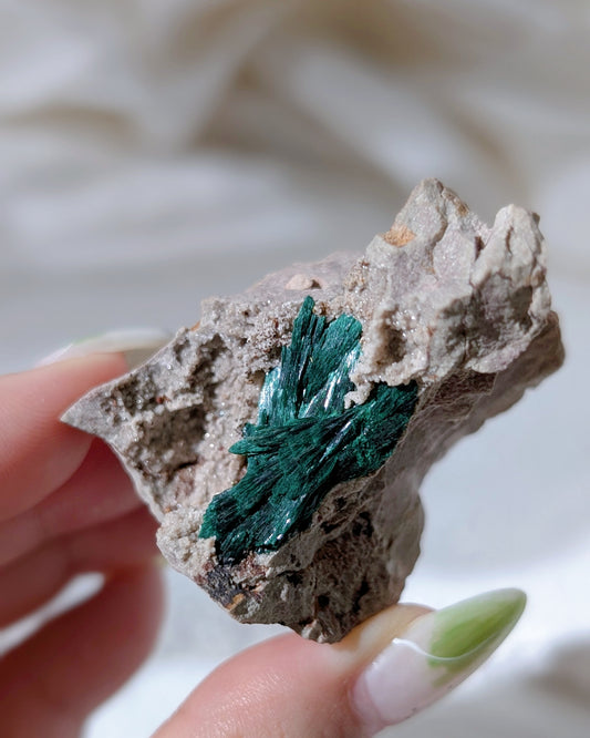 [MA14] Druzy Feather Malachite from Morocco 摩洛哥孔雀礦