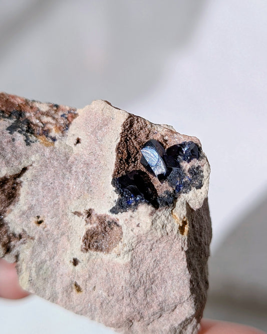 [AZ29] Azurite on matrix, Morocco 摩洛哥藍銅礦