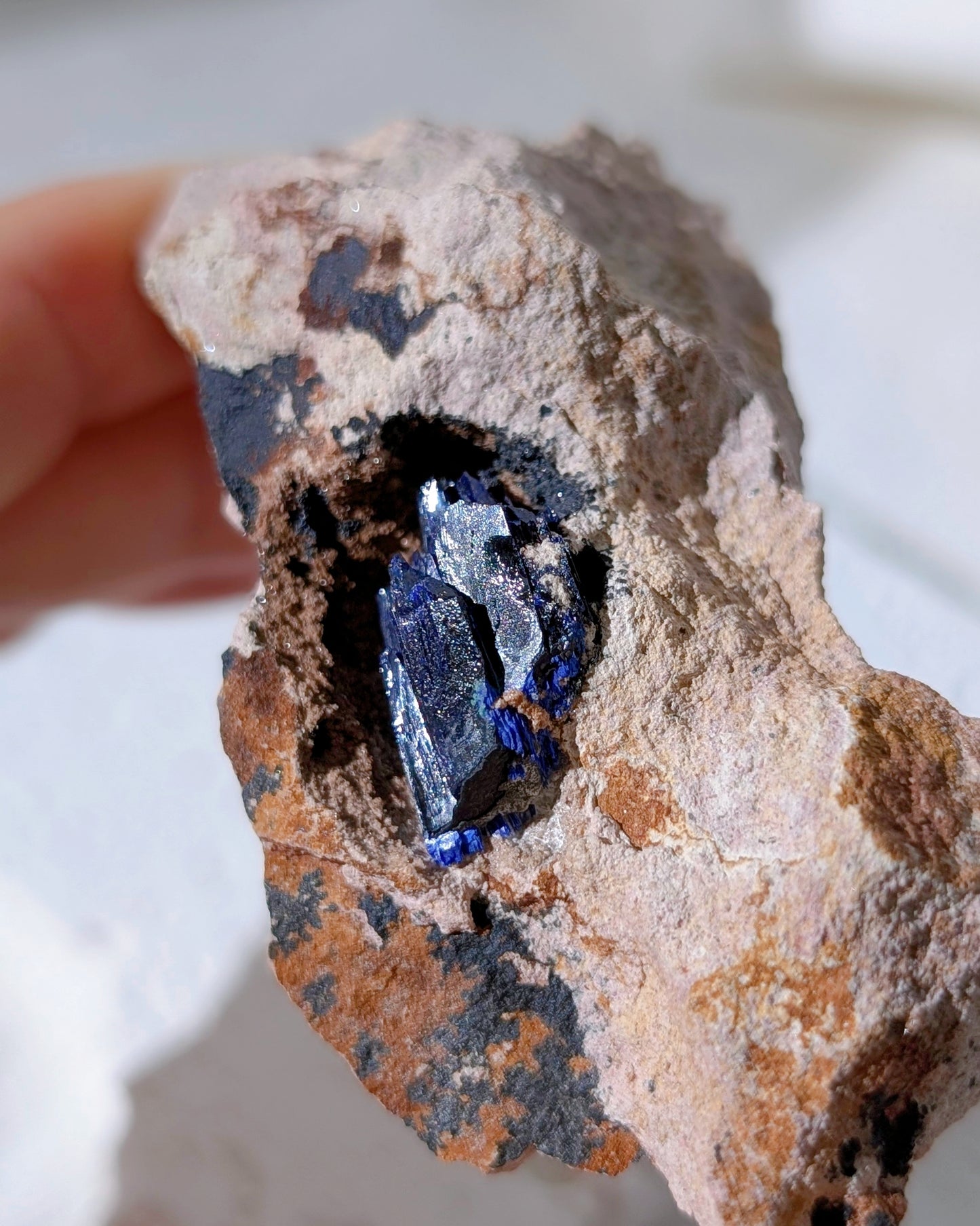 [AZ31] Azurite on matrix, Morocco 摩洛哥藍銅礦