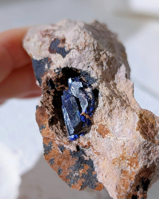 [AZ31] Azurite on matrix, Morocco 摩洛哥藍銅礦