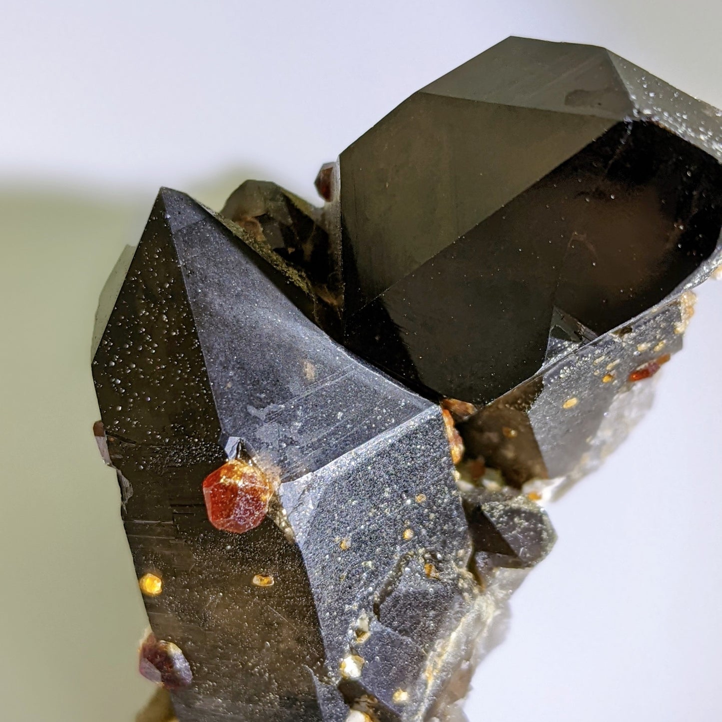 [GS03] Smoky Quartz with Garnets 福建煙晶石榴石