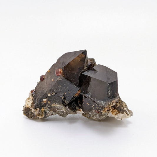 [GS03] Smoky Quartz with Garnets 福建煙晶石榴石