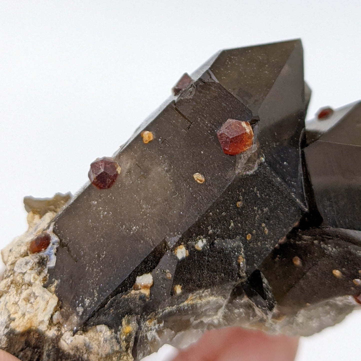 [GS03] Smoky Quartz with Garnets 福建煙晶石榴石