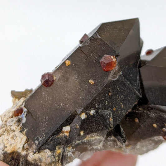 [GS03] Smoky Quartz with Garnets 福建煙晶石榴石