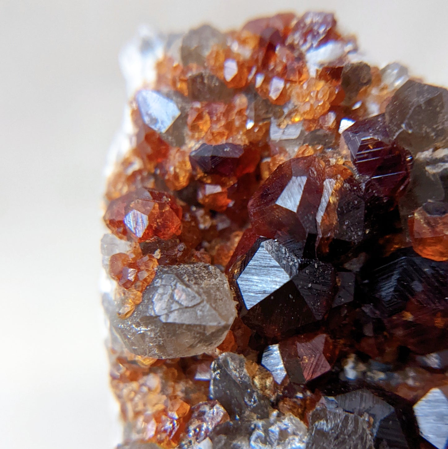[GS04] Smoky Quartz with Garnet 福建煙晶石榴石