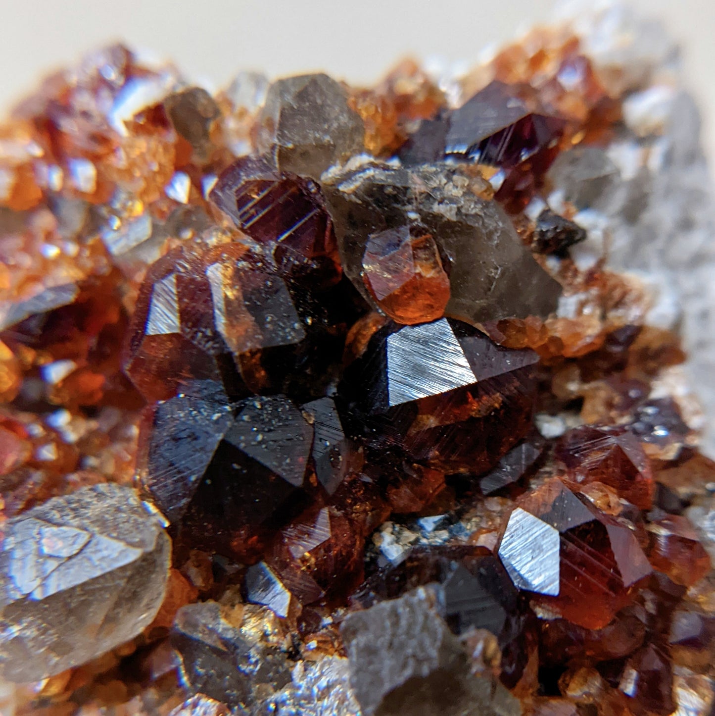 [GS04] Smoky Quartz with Garnet 福建煙晶石榴石