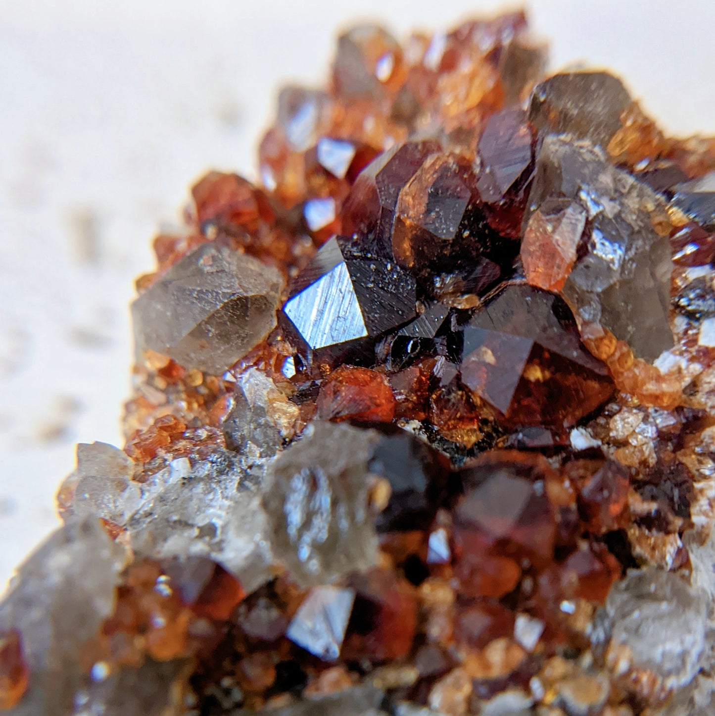 [GS04] Smoky Quartz with Garnet 福建煙晶石榴石