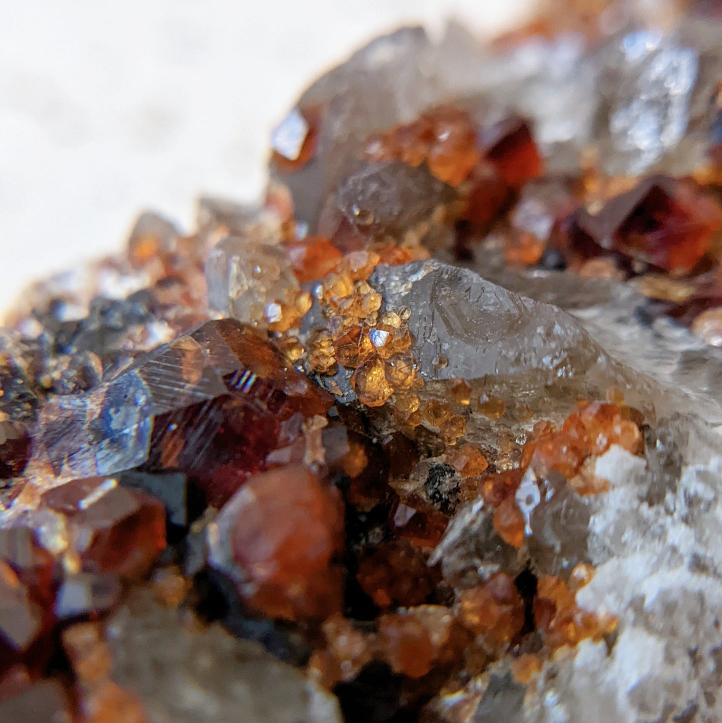 [GS04] Smoky Quartz with Garnet 福建煙晶石榴石