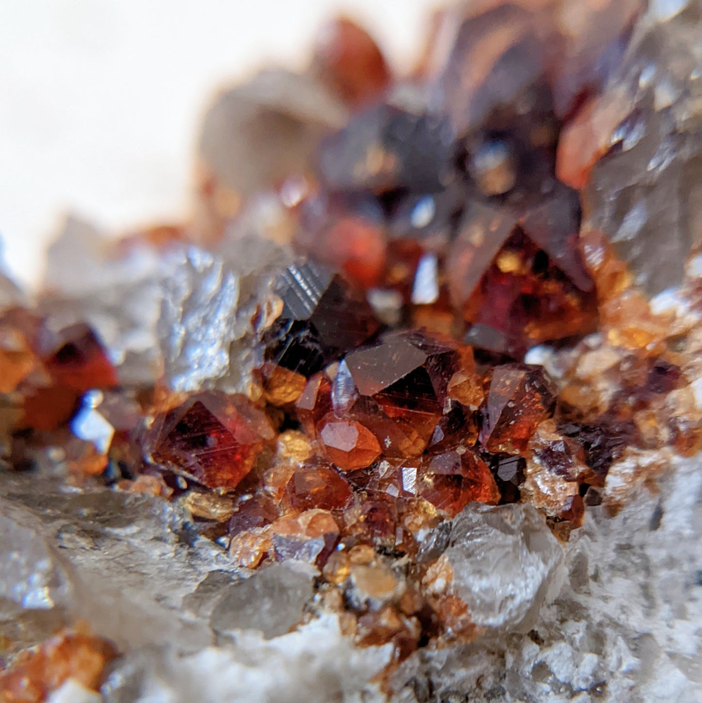 [GS04] Smoky Quartz with Garnet 福建煙晶石榴石