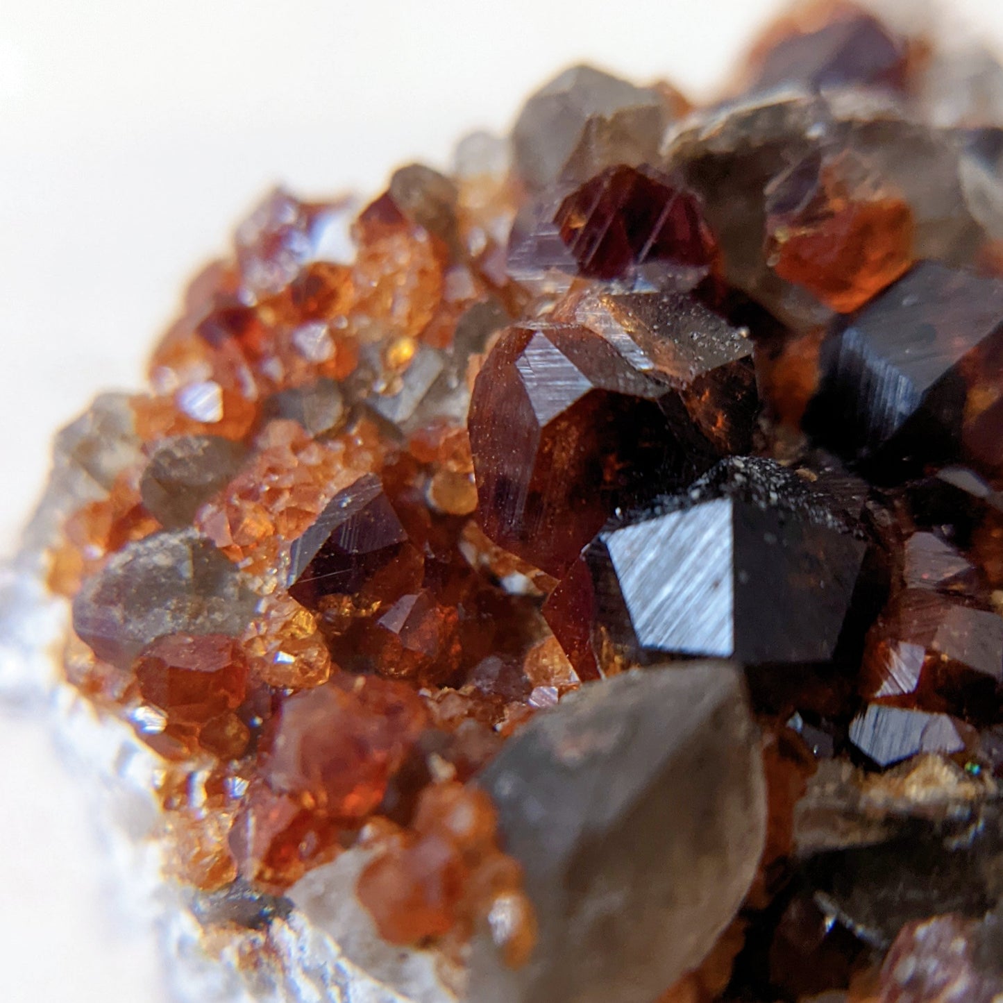 [GS04] Smoky Quartz with Garnet 福建煙晶石榴石