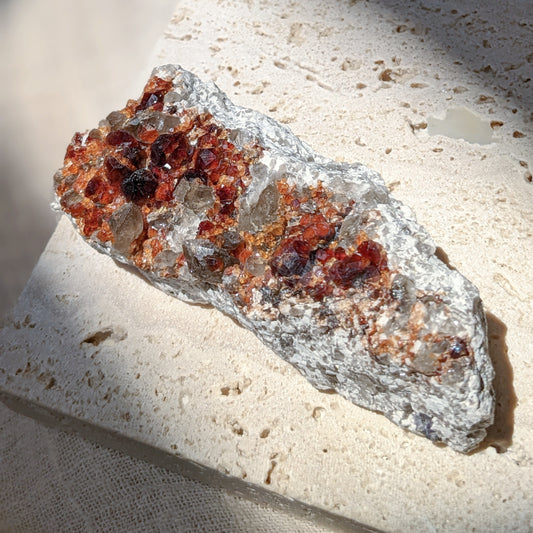 [GS04] Smoky Quartz with Garnet 福建煙晶石榴石