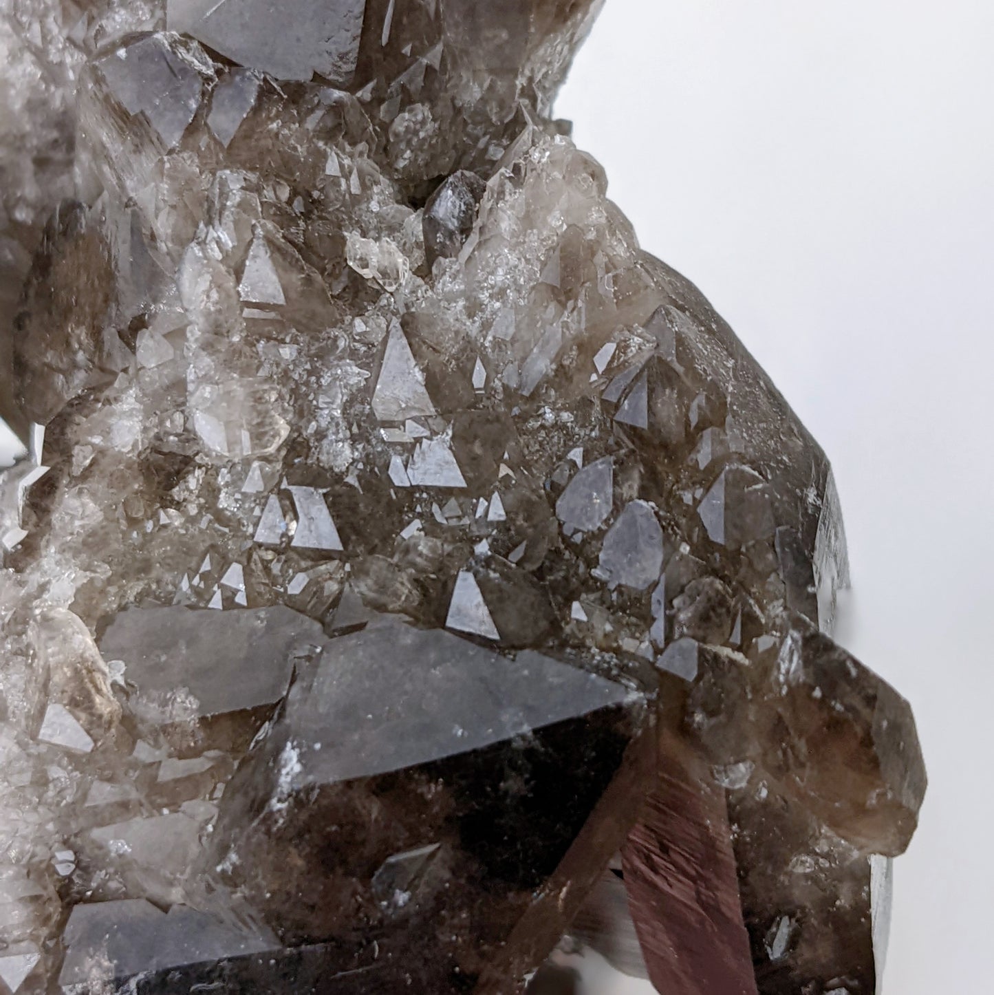[SK01] Self-healed Smoky Quartz 自我療癒雙尖深色茶晶簇