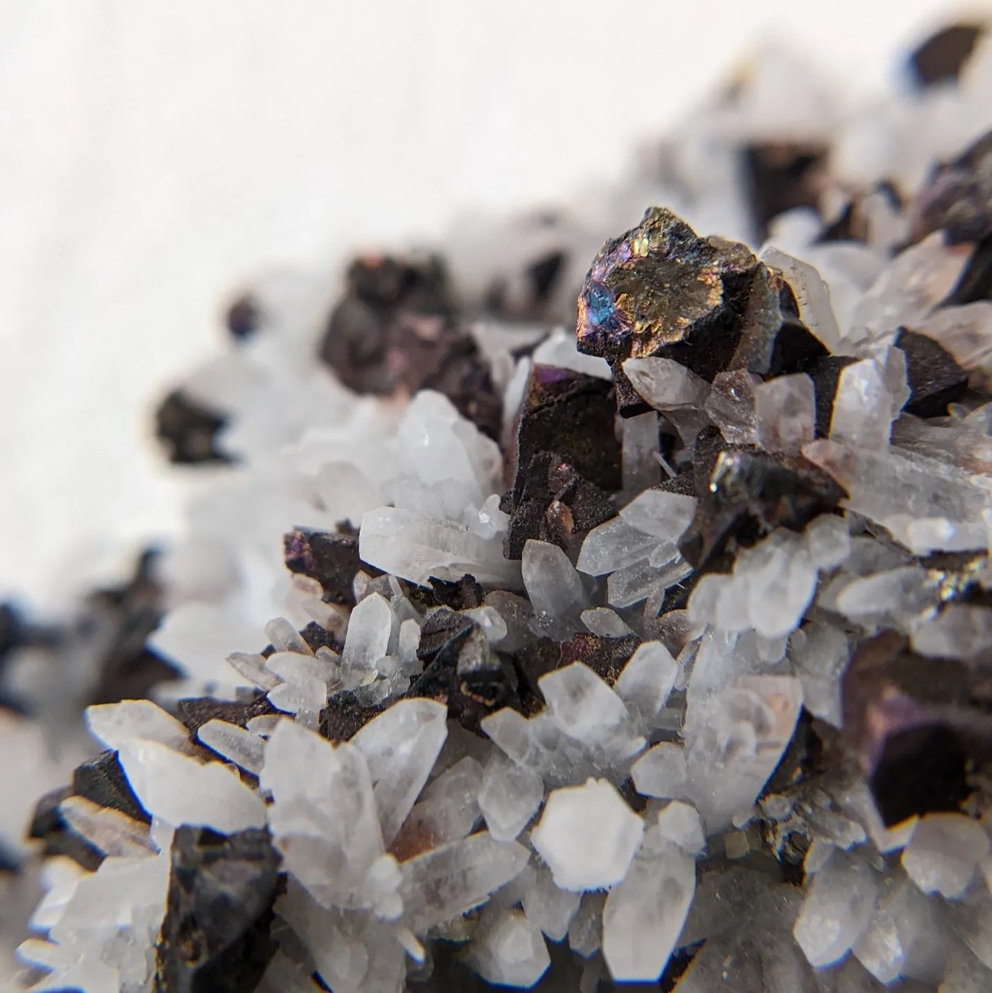 [CH05] Oxidized Chalcopyrite & Pyrite with Milky Quartz 黃銅礦黃鐵礦白水晶花共生