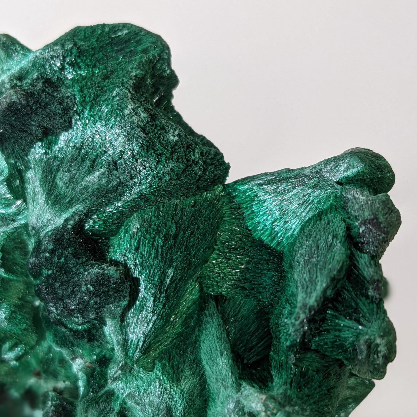 [MA11] High Grade Fibrous Malachite from Congo